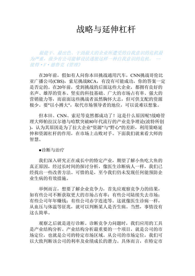 “战略与延伸杠杆(doc　17).doc”第1页图片