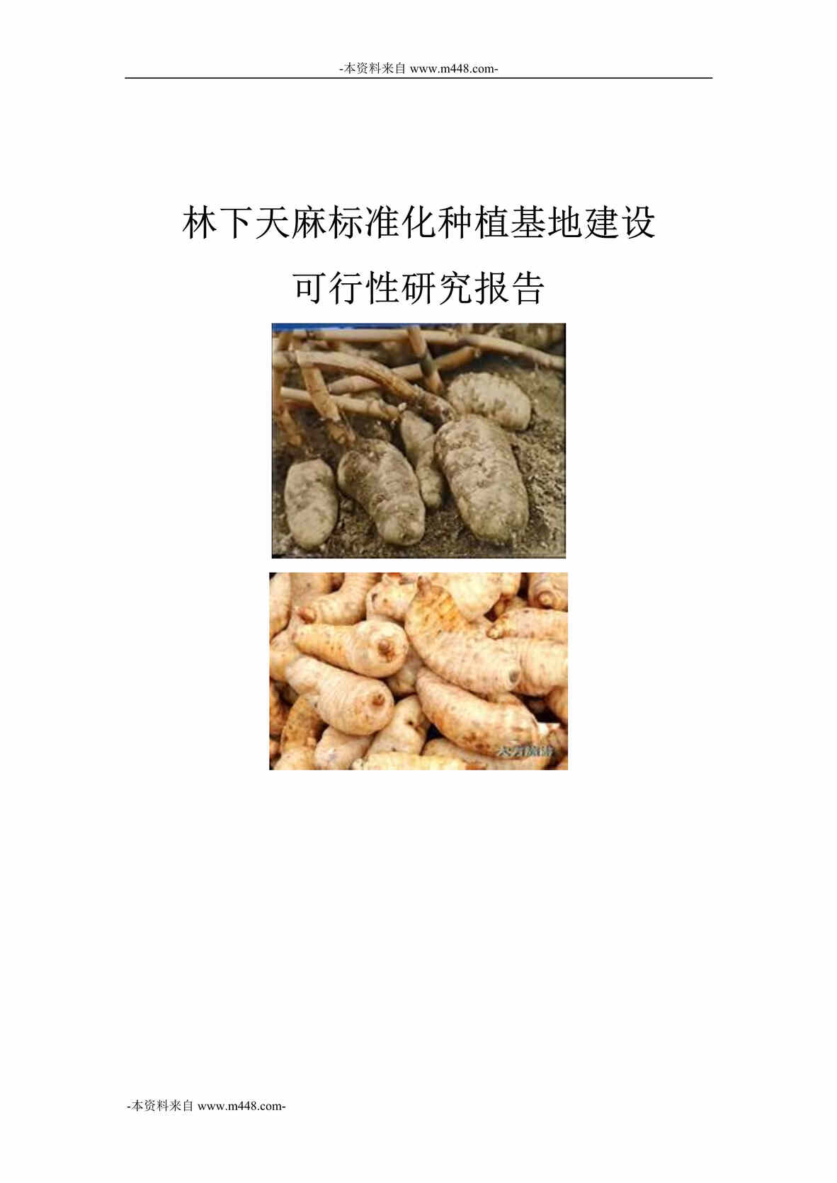 “林下天麻标准化种植基地建设可行性研究报告DOC_29页”第1页图片