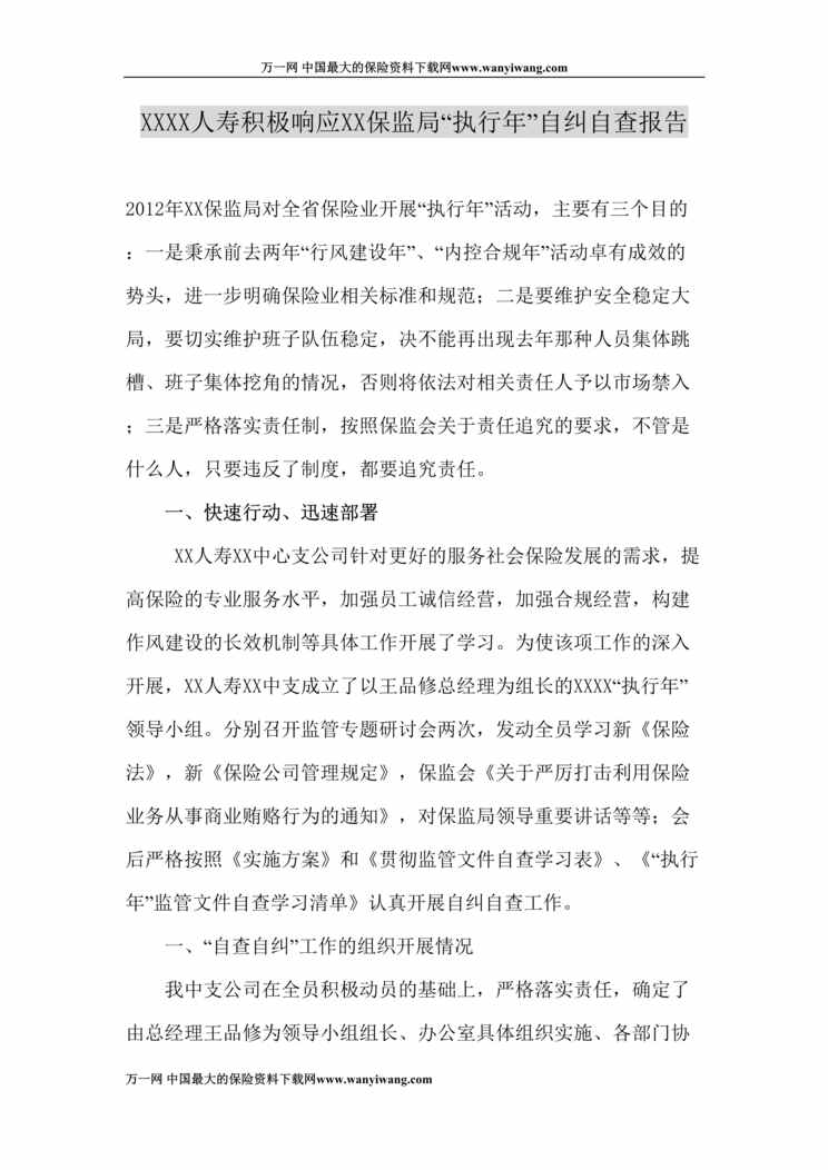 “中支公司相应保监局执行年自纠自查报告DOC.doc”第1页图片