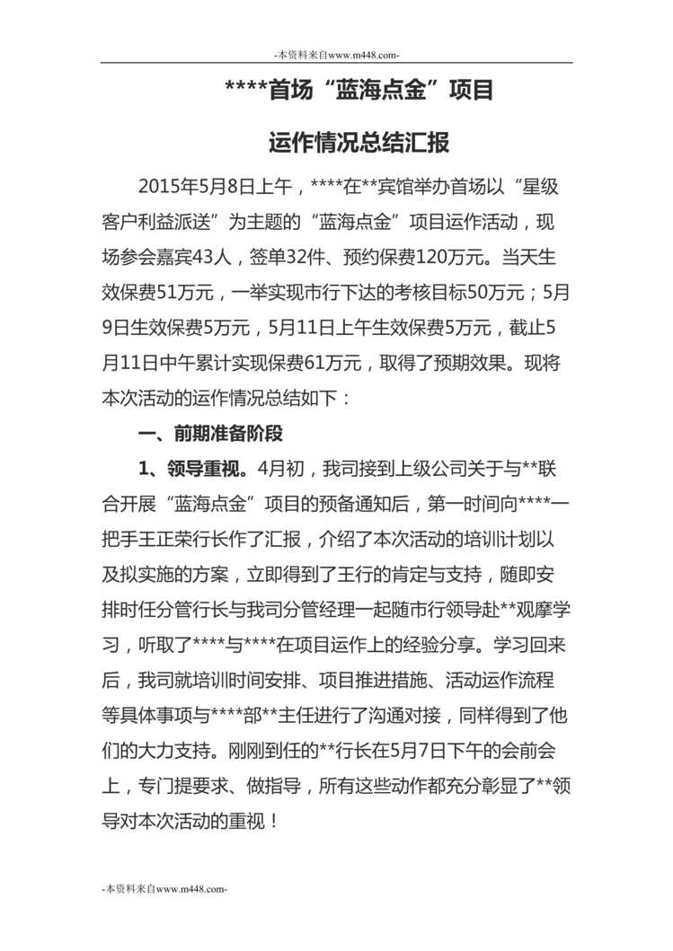 “保险业蓝海点金项目运作情况总结分享汇报5页DOC”第1页图片