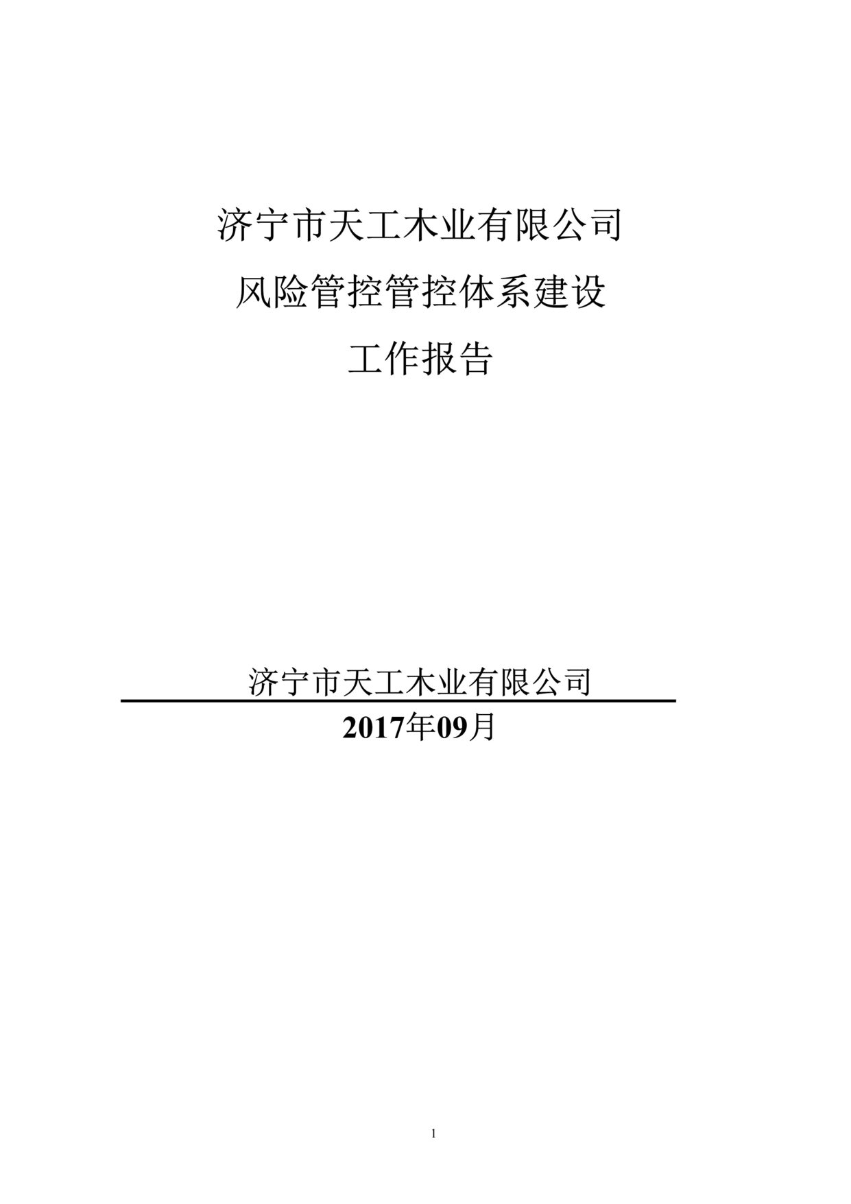 “双体系建设工作报告模板DOC”第1页图片