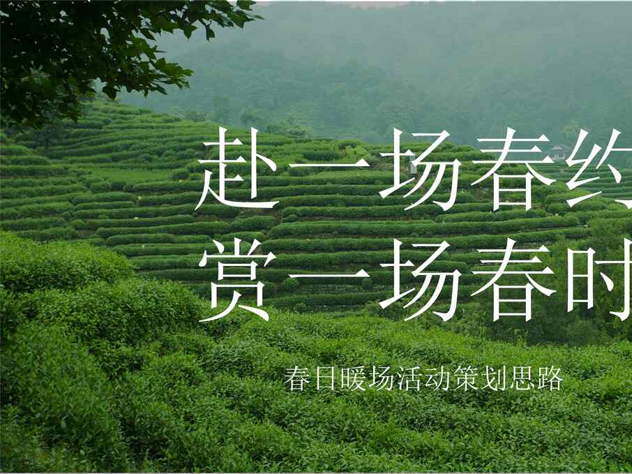 “2022年春日4_6月系列暖场赴一场春约赏一场春时主题活动策划方案_38PPPT”第1页图片