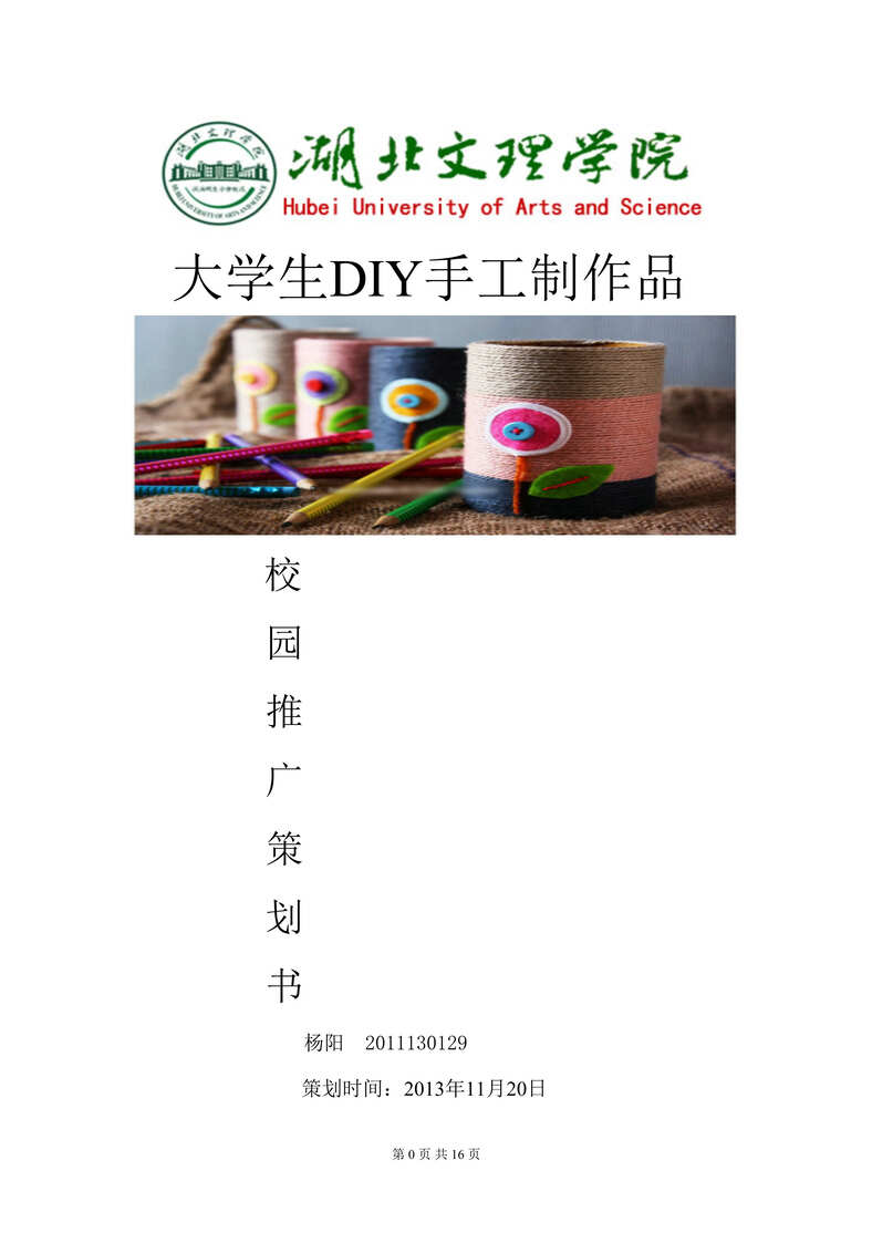 “DIY手工制品营销策划书DOC”第1页图片