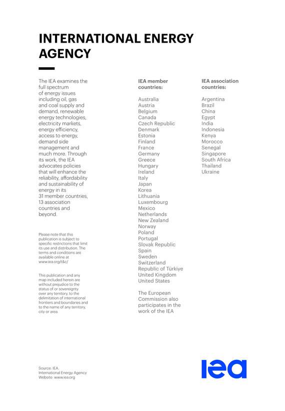 “研究报告_净零排放路线图2023年更新PDF”第2页图片