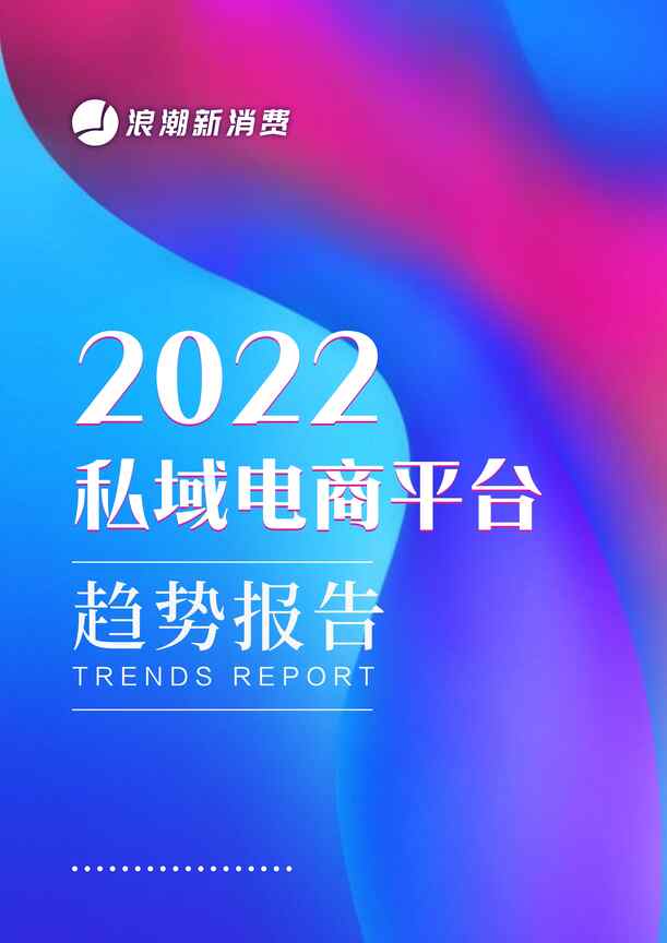 “2022私域电商平台趋势报告_浪潮新消费PDF”第1页图片