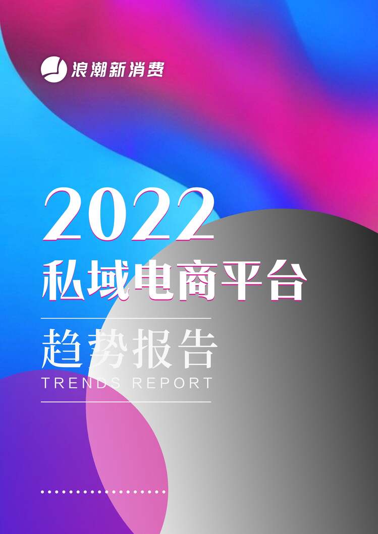 “2022私域电商平台趋势报告PDF”第1页图片