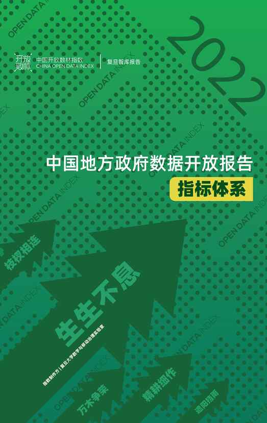 “复旦智库：中国地方政府数据开放报告_指标体系PDF”第1页图片