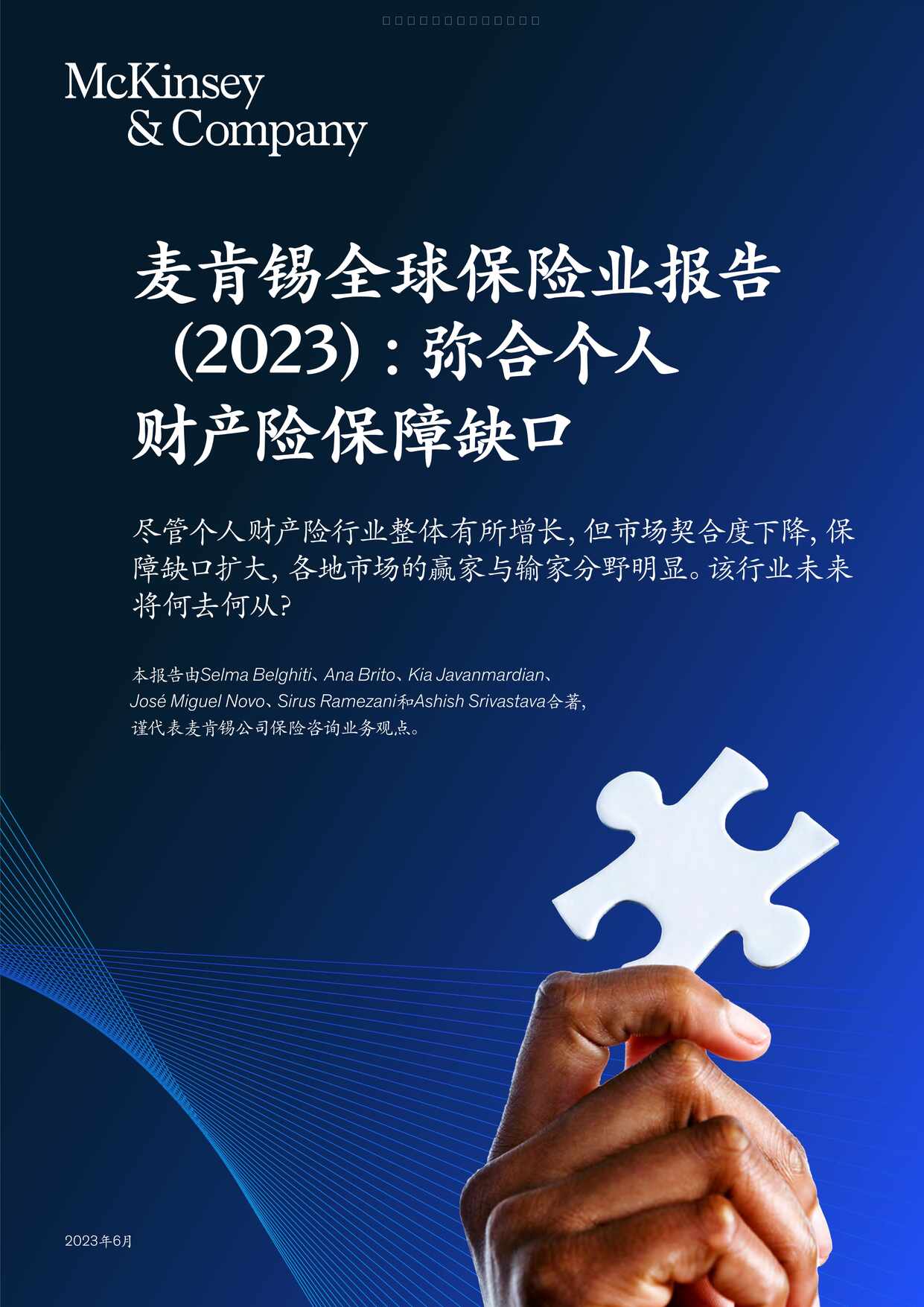 “2023弥合个人财产与意外险保障缺口32页PDF”第1页图片