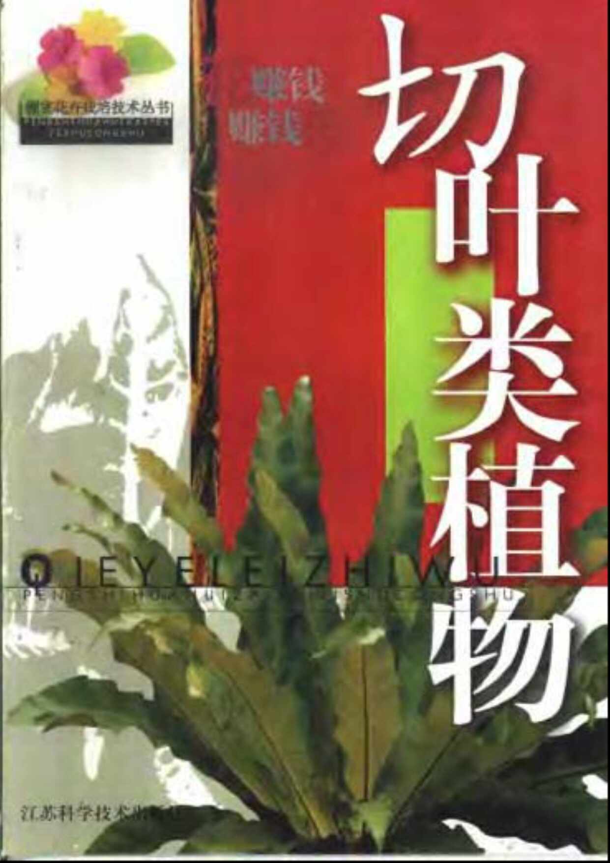 “切叶类植物_鹏室花卉栽培技术丛书PDF”第1页图片