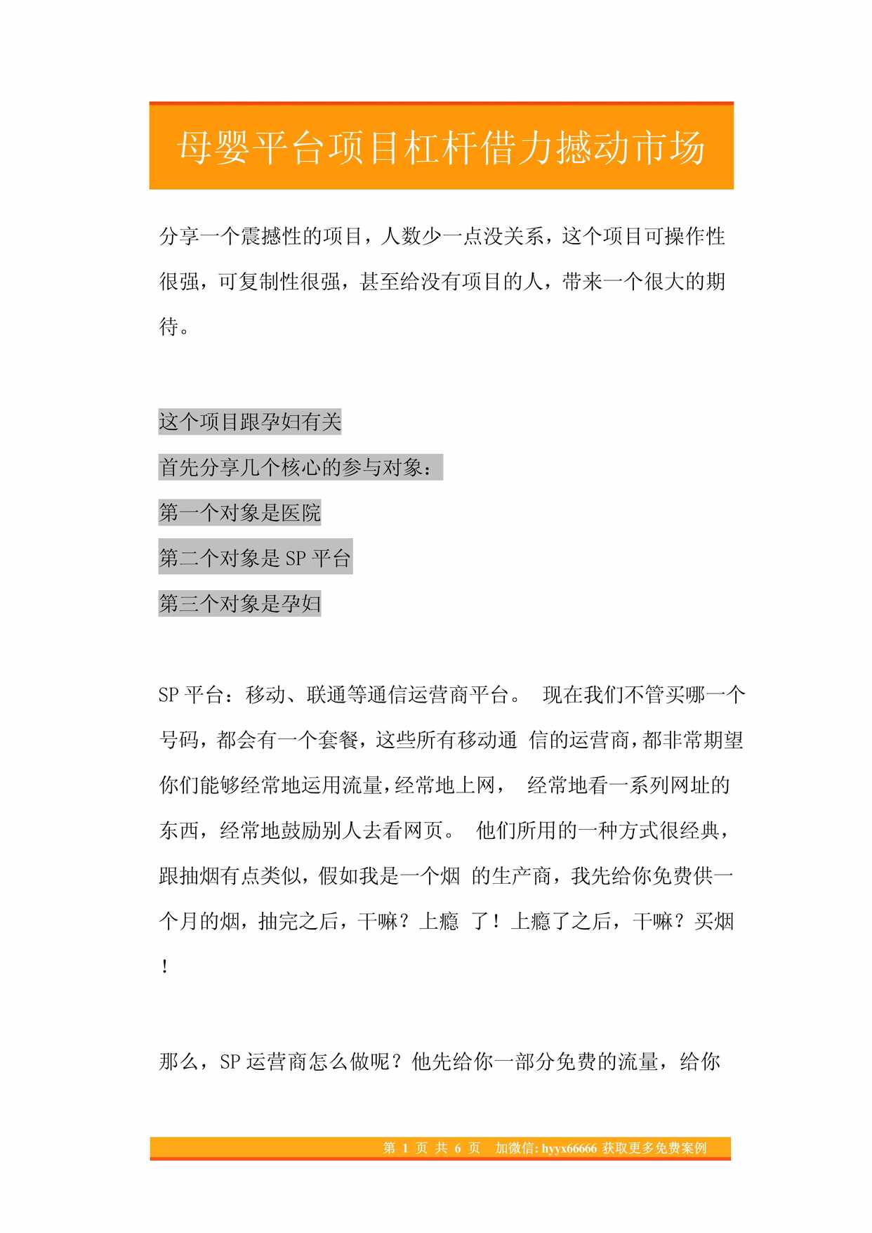 “母婴平台项目杠杆借力撼动市场PDF”第1页图片