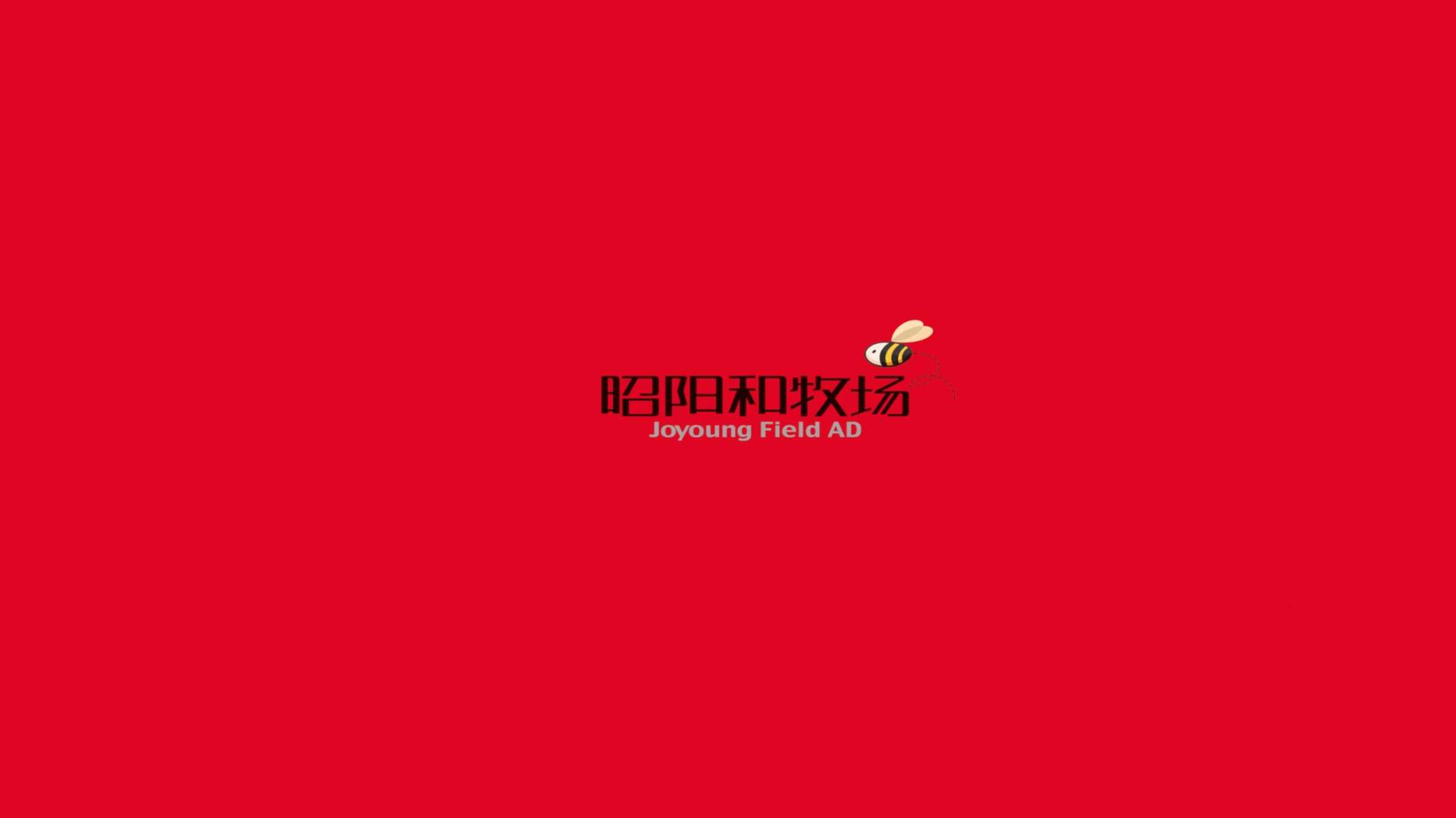 “广州昭阳和牧场_保利大国璟推广策略案最终版PDF”第1页图片