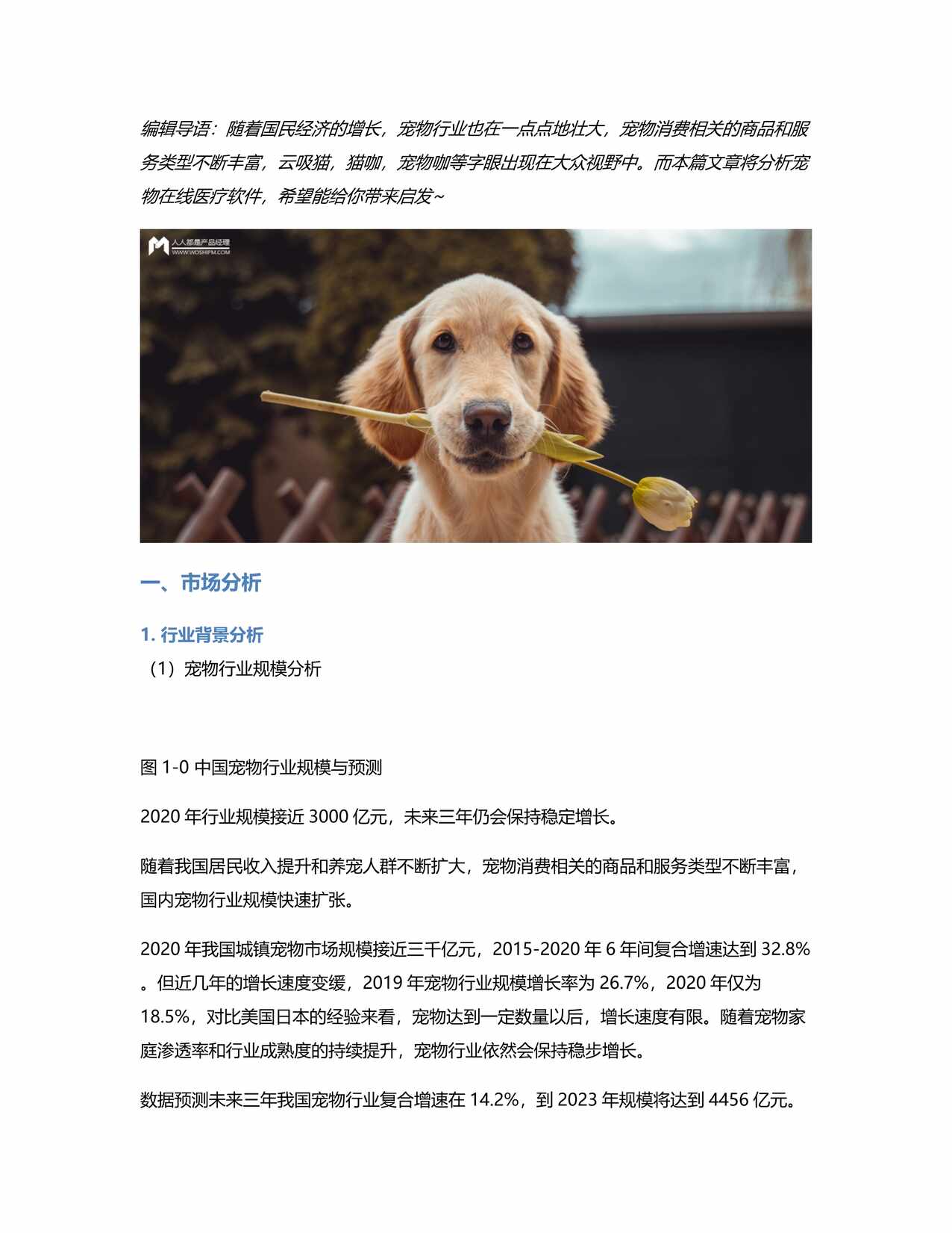 “宠物在线医疗_它嗅竞品分析PDF”第1页图片