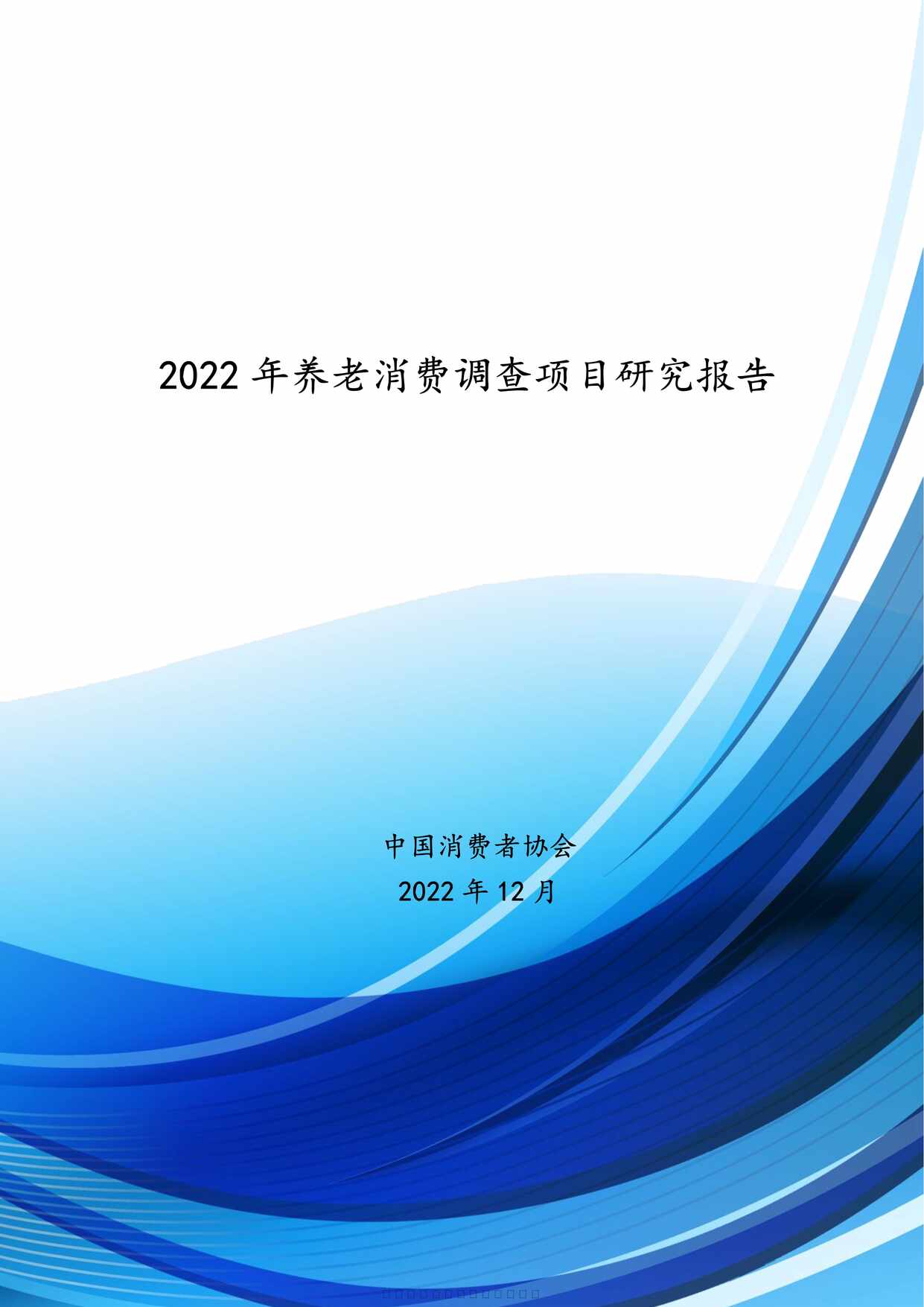 “2022年养老消费调查项目研究报告111页PDF”第1页图片