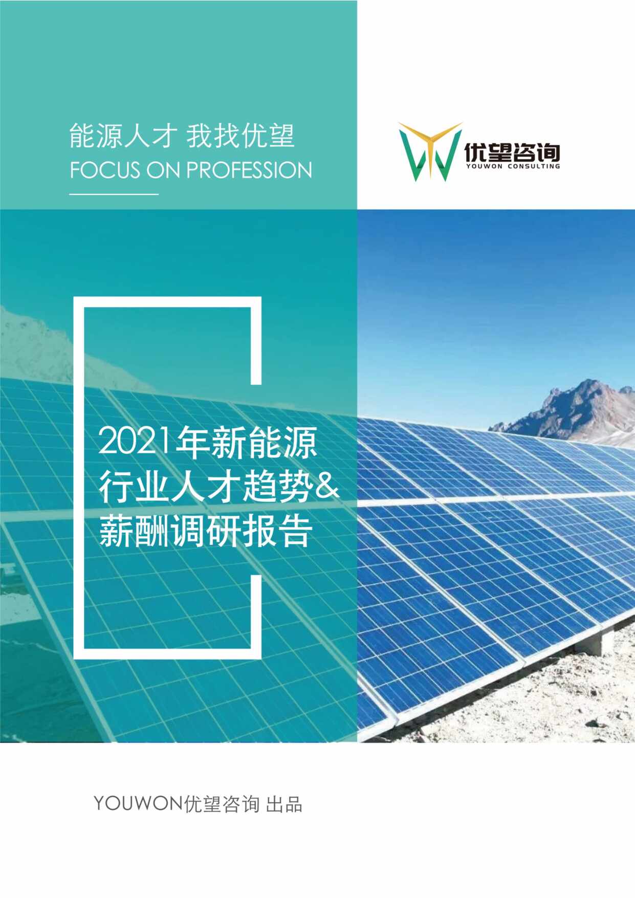 “2021年新能源欧亿·体育（中国）有限公司人才趋势_薪酬调研报告PDF”第1页图片