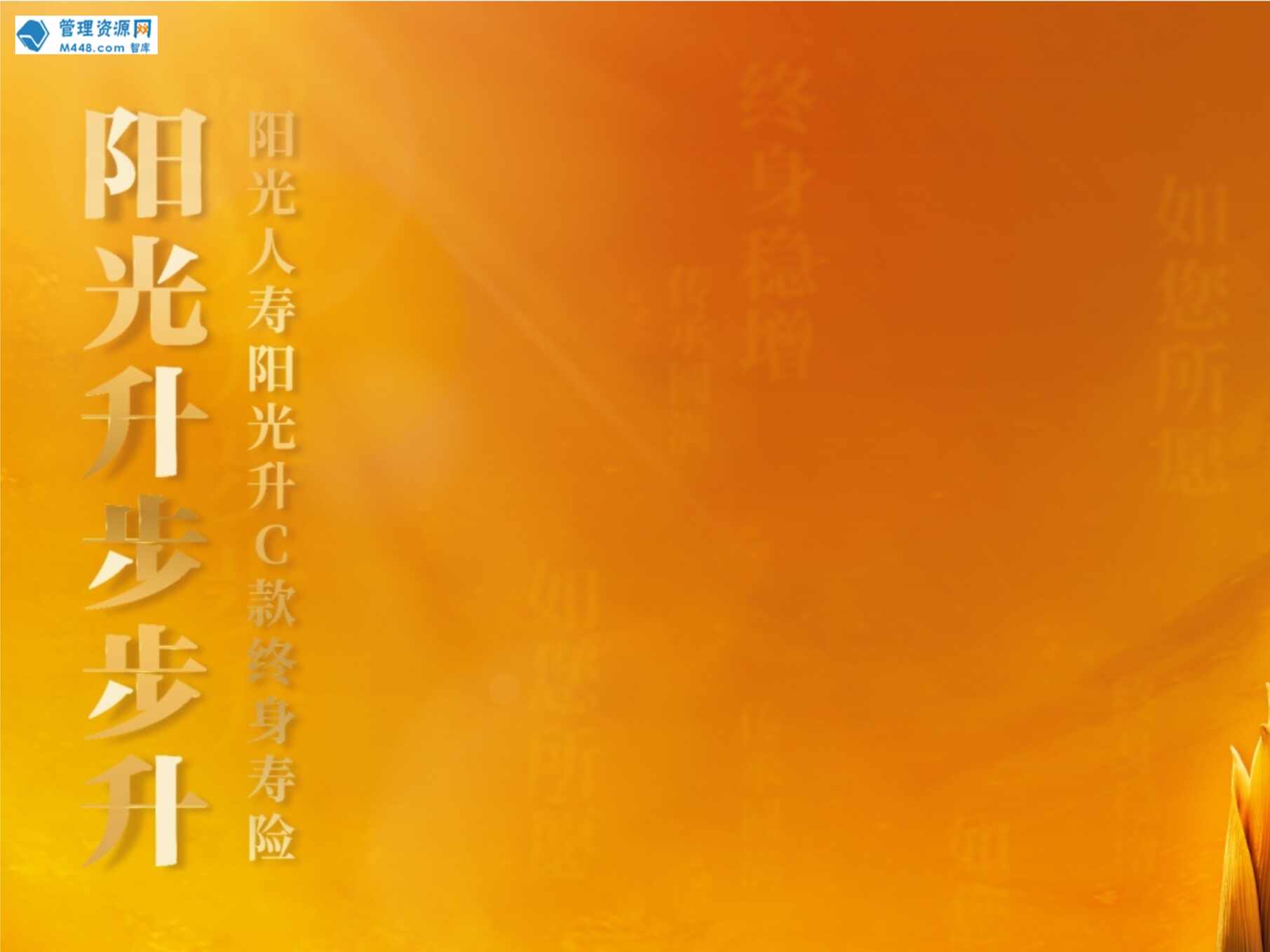 “阳光人寿阳光升C款终身寿险产品解析规则介绍案例演示22页PPT”第1页图片