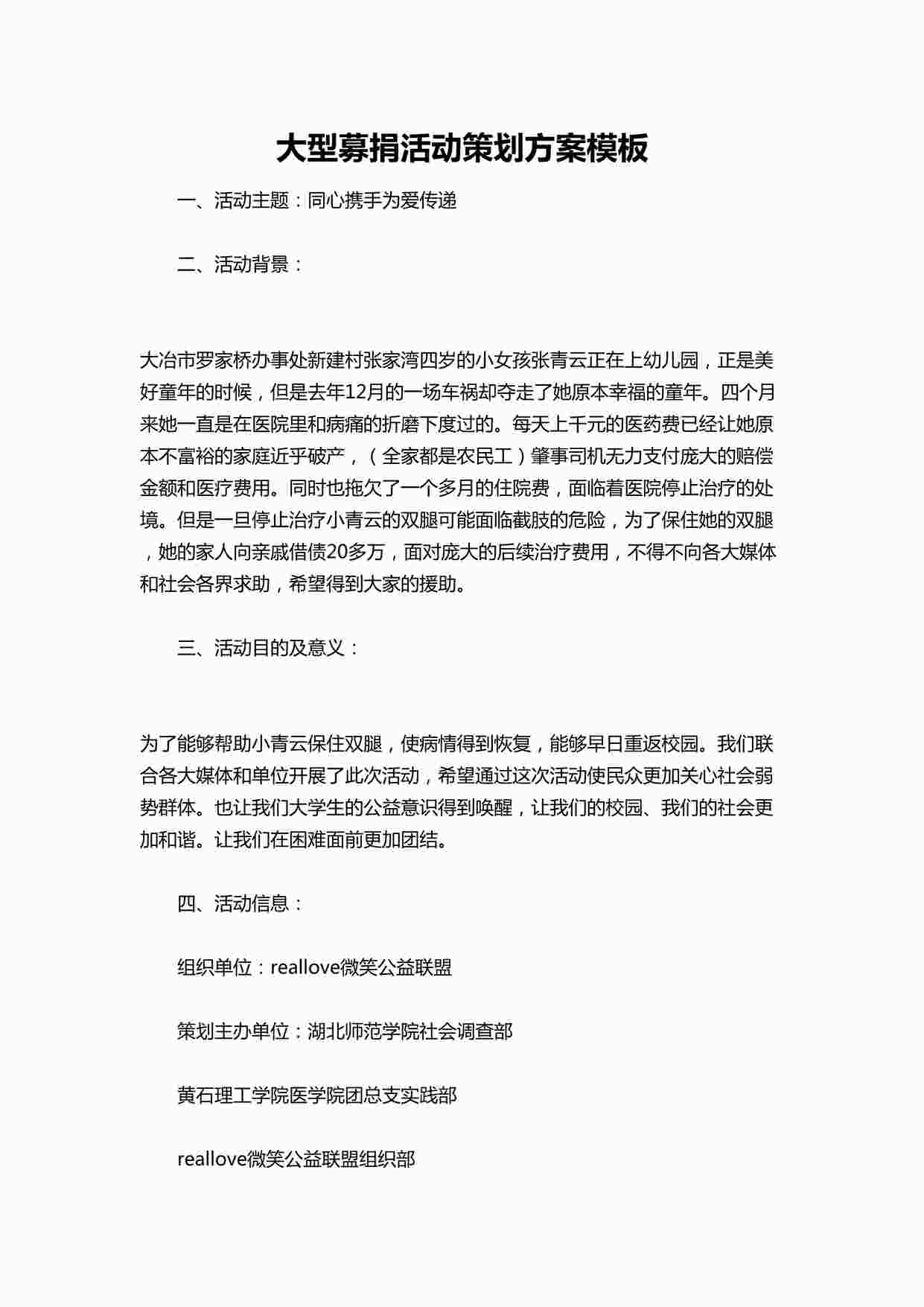 “大型募捐活动策划方案模板DOCX”第1页图片