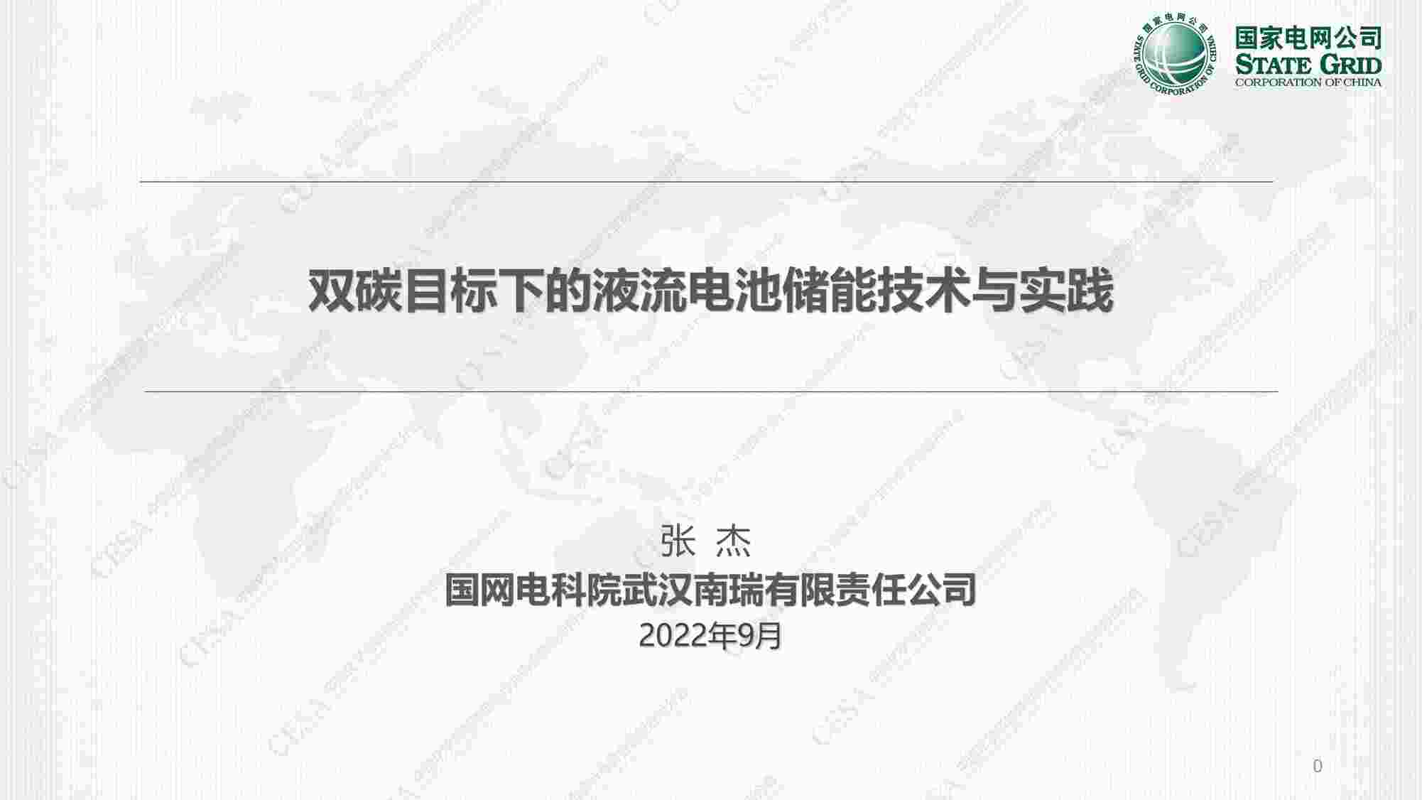 “双碳目标下的液流电池储能技术与实践-国网武汉南瑞0905PDF”第1页图片