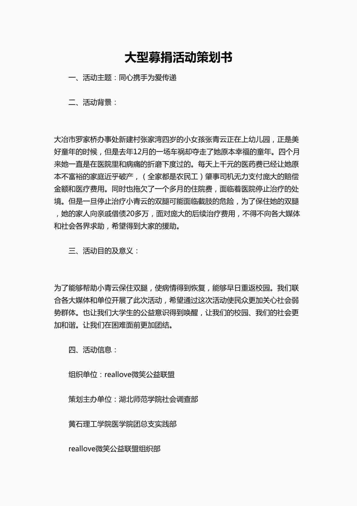 “大型募捐活动策划书DOCX”第1页图片