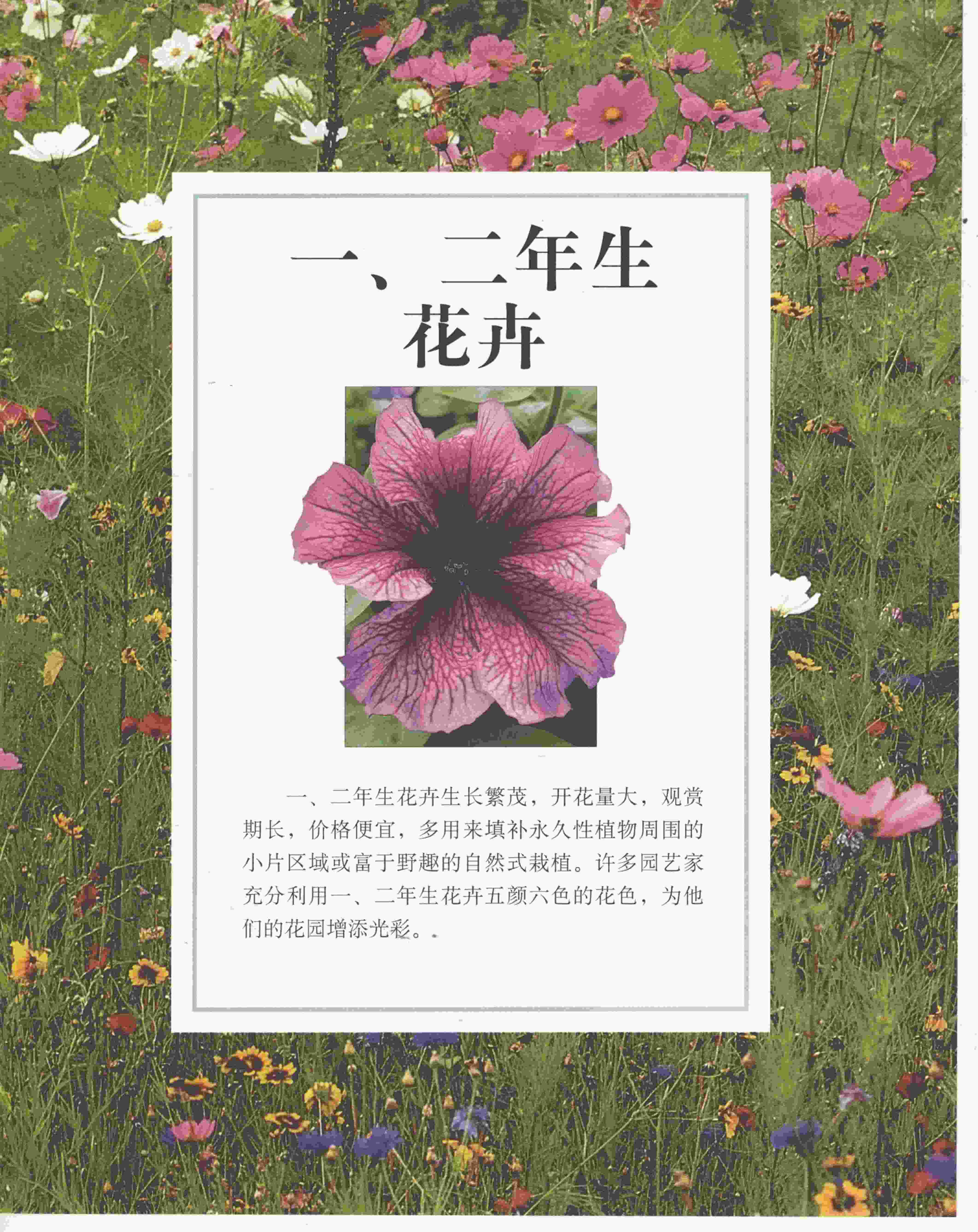 “世界园林植物与花卉百科全书7_一、二年生花卉PDF”第1页图片