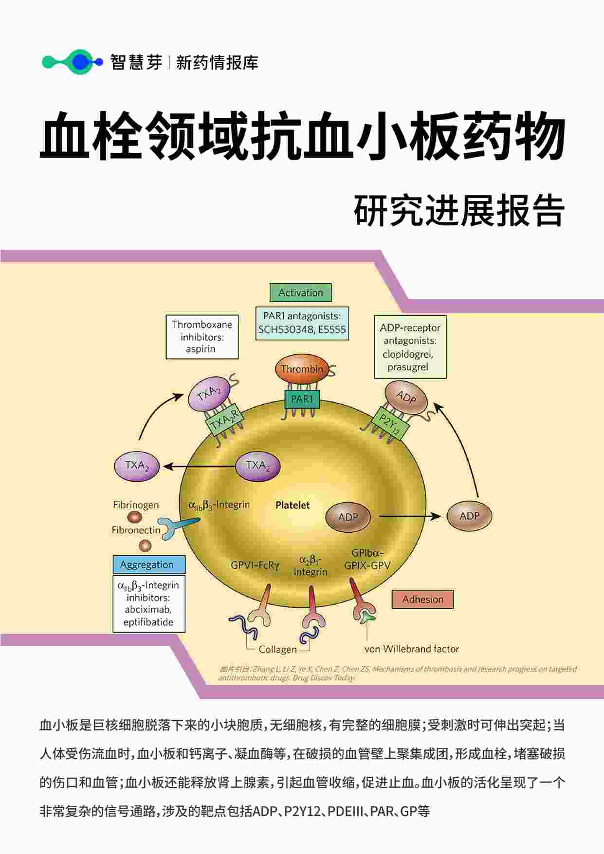 “2023年血栓领域抗血小板药物PDF”第1页图片