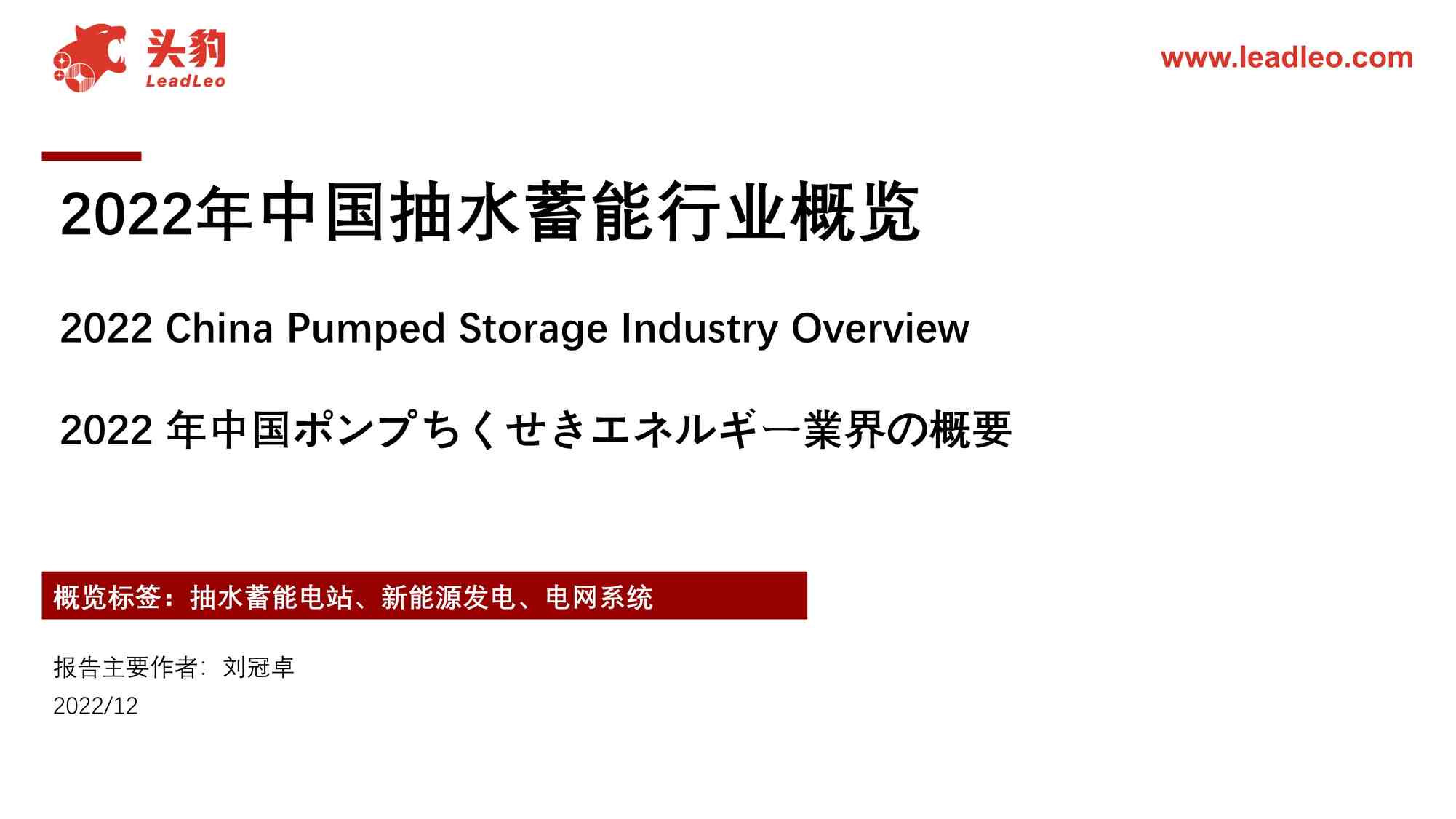 “2022年中国抽水蓄能欧亿·体育（中国）有限公司概览---头豹研究院PDF”第1页图片